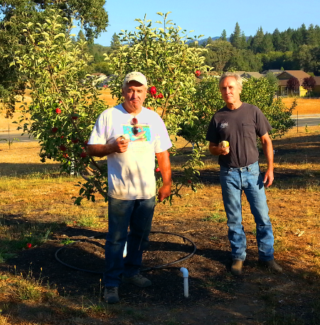 President of CCC Martin Mileck poses in front of the Commonwealth Hospital Gardens orchard with the Gardens' volunteer coordinator Keith Johnson.